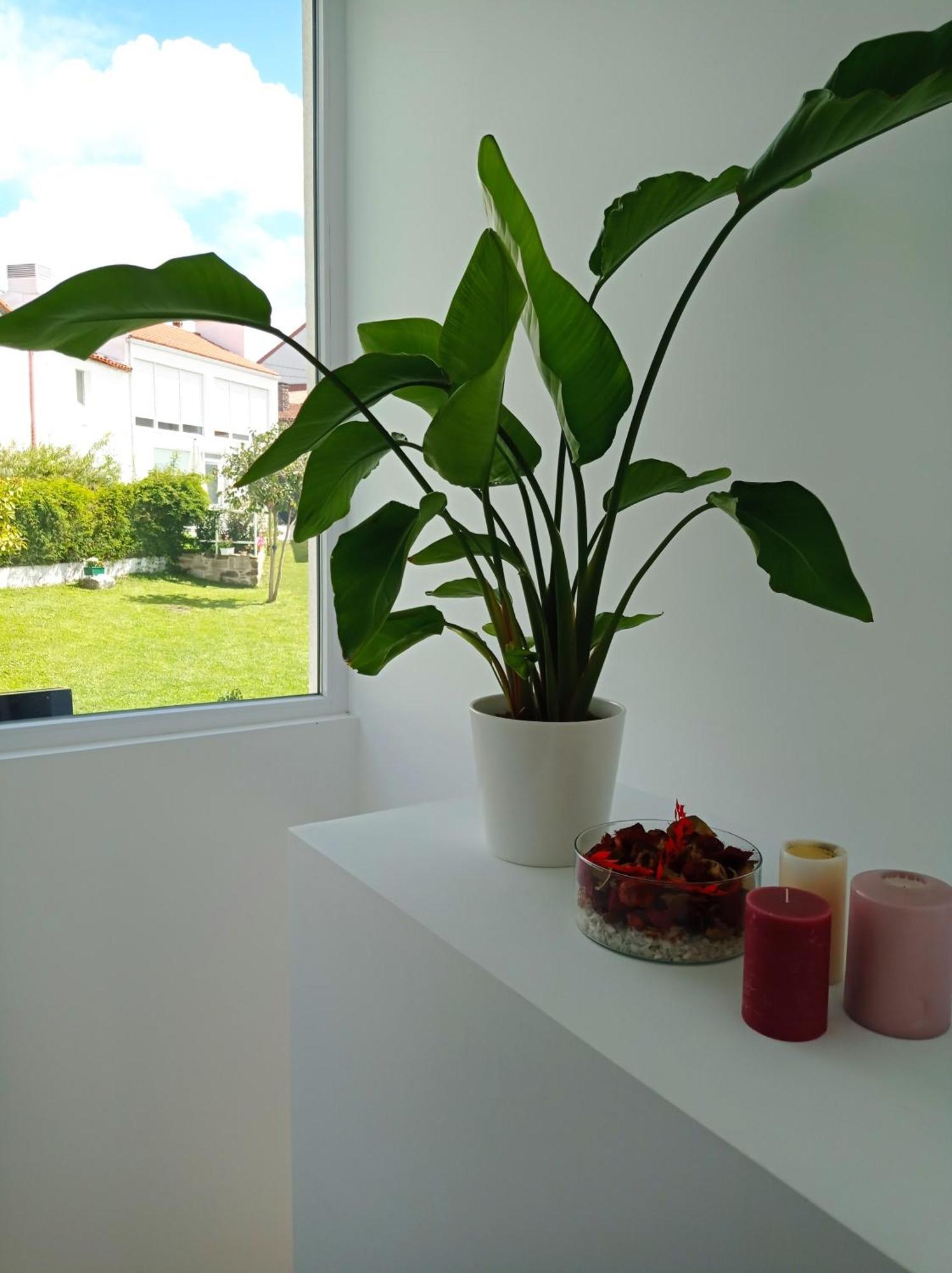 Casas Turisticas Lar Jardin - Parking Privado Σαντιάγο ντε Κομποστέλα Εξωτερικό φωτογραφία