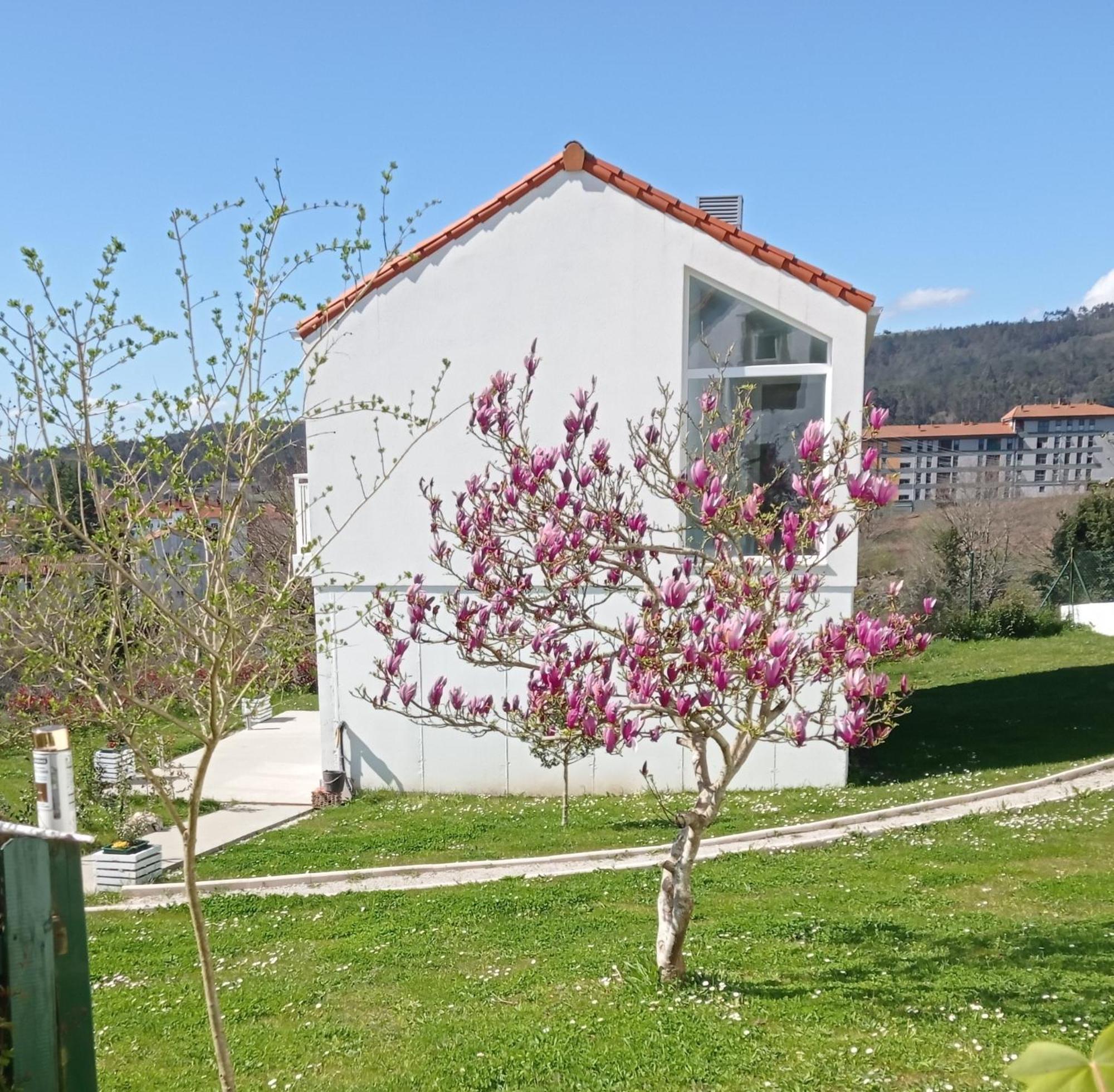 Casas Turisticas Lar Jardin - Parking Privado Σαντιάγο ντε Κομποστέλα Εξωτερικό φωτογραφία