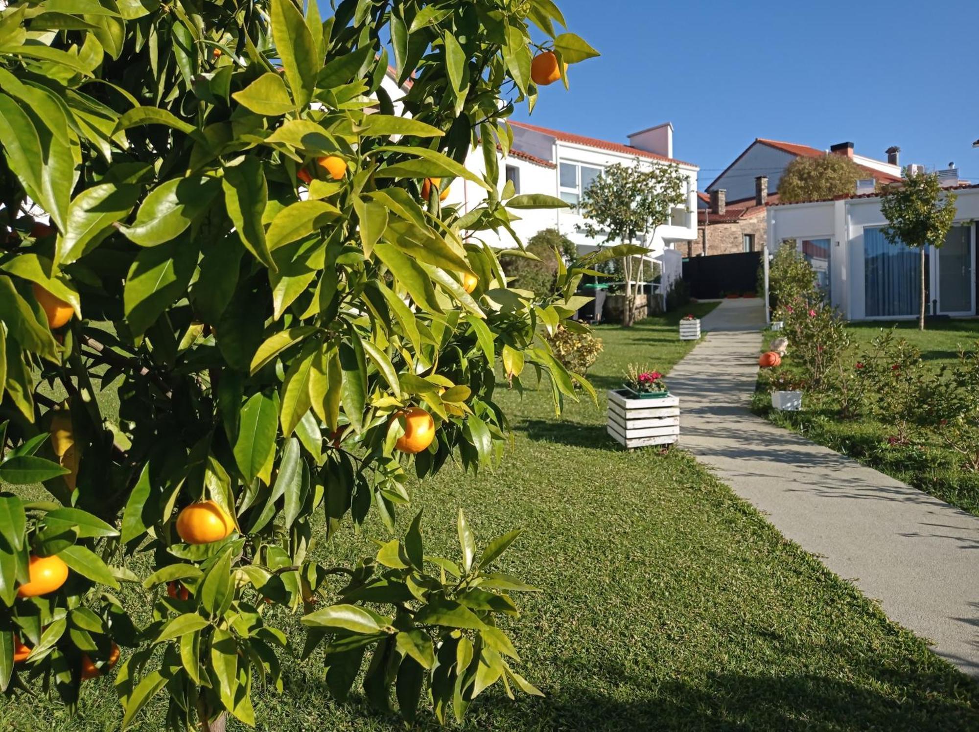 Casas Turisticas Lar Jardin - Parking Privado Σαντιάγο ντε Κομποστέλα Εξωτερικό φωτογραφία