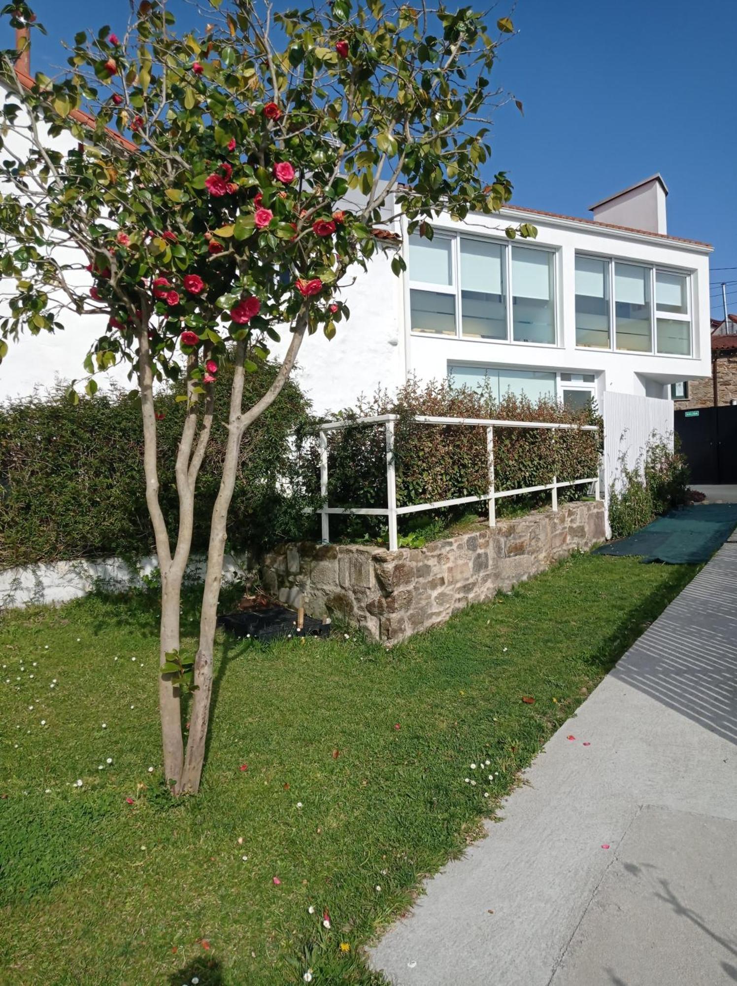 Casas Turisticas Lar Jardin - Parking Privado Σαντιάγο ντε Κομποστέλα Εξωτερικό φωτογραφία